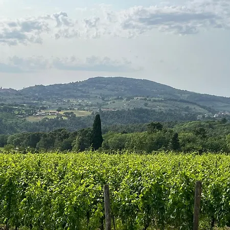 Casale Armonia Casa vacanze *