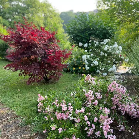 Casale Armonia Casa vacanze Massa Martana